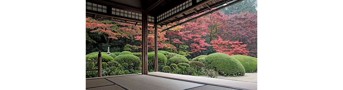  Les plus beaux jardins à voir au Japon  